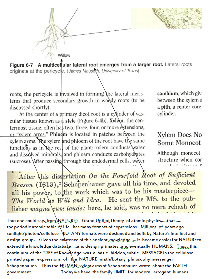 p-1118-13.PNG