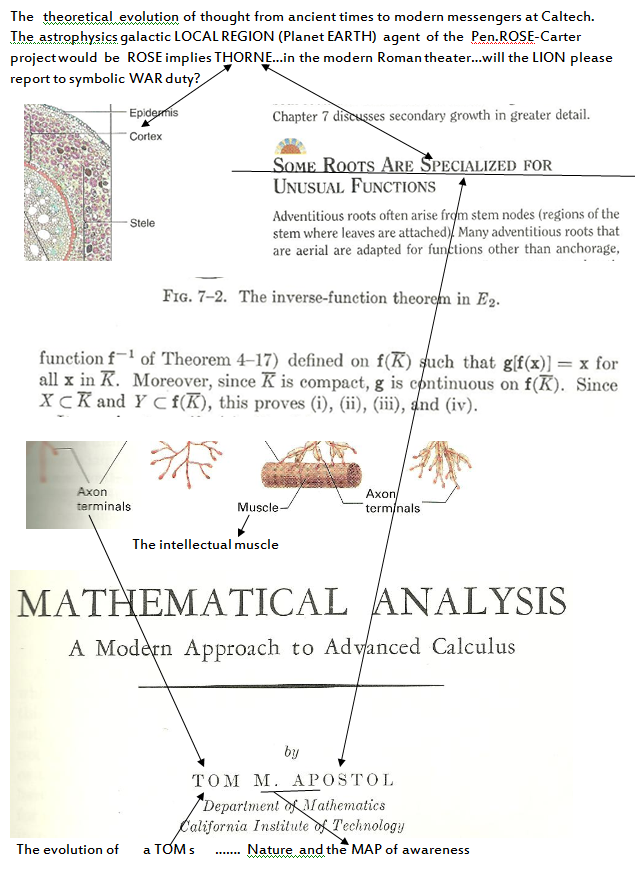 p-1118-16.PNG