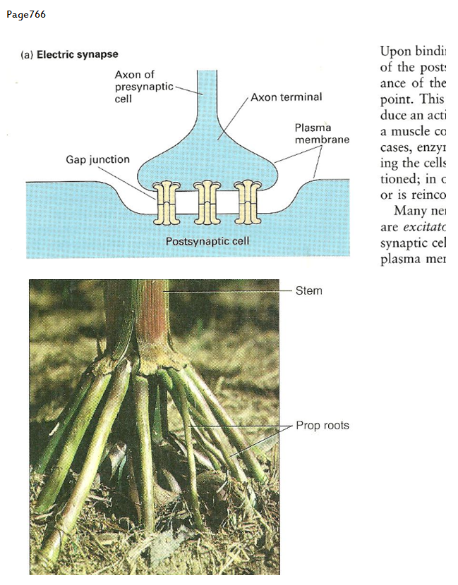 p-1118-20.PNG