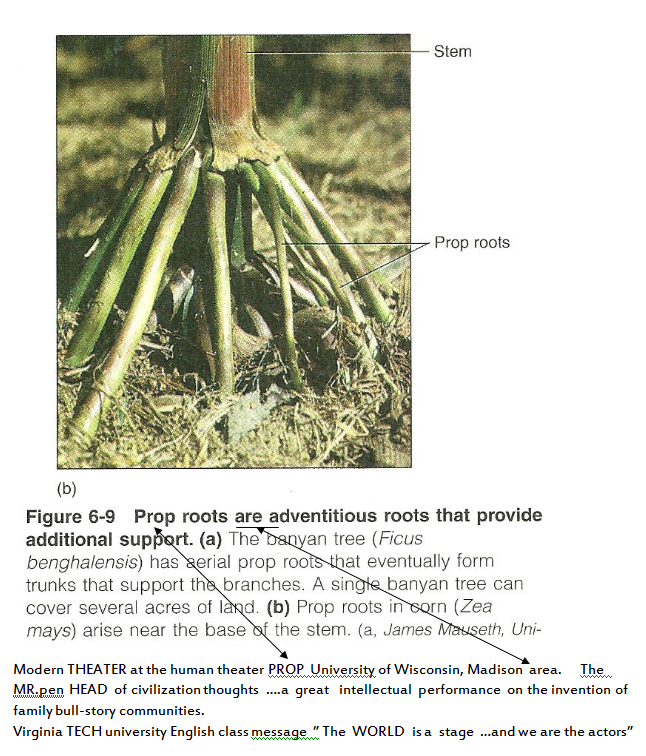 p-1118-21.PNG