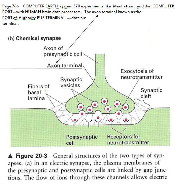 p-1118-22.PNG