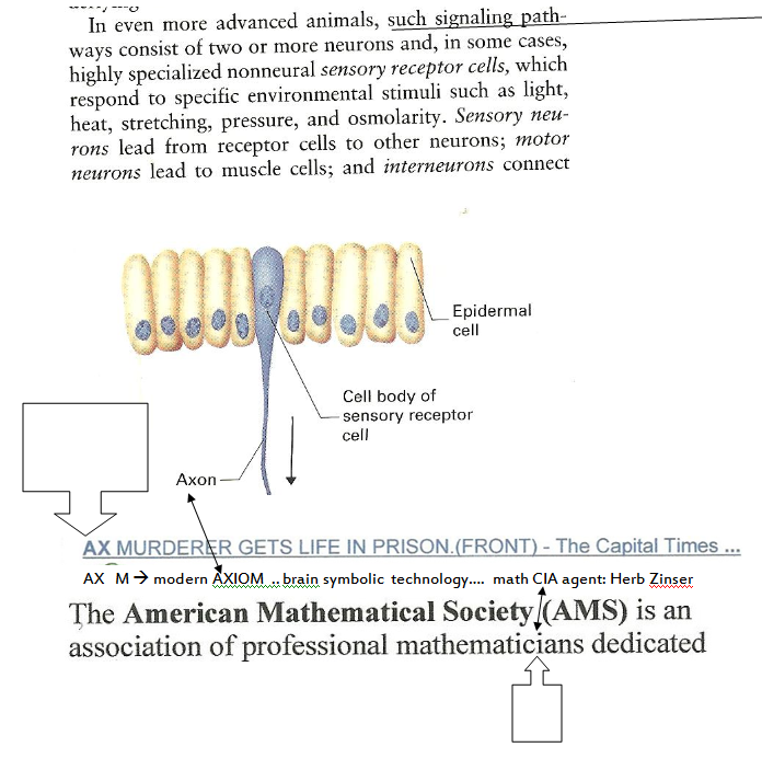 p-1118-30.PNG