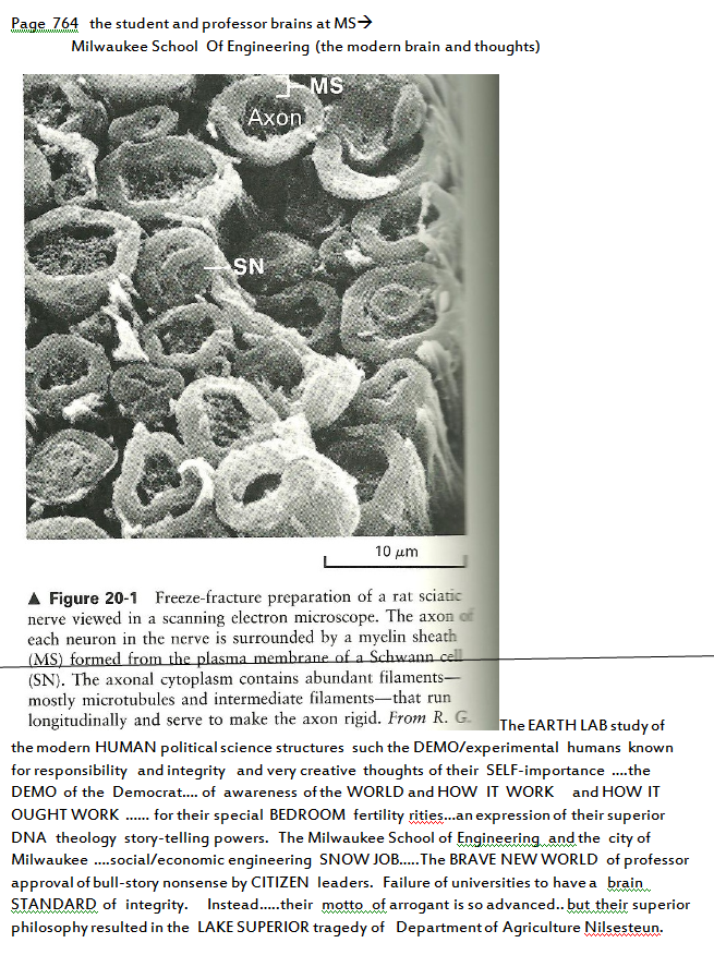 p-1118-7.PNG