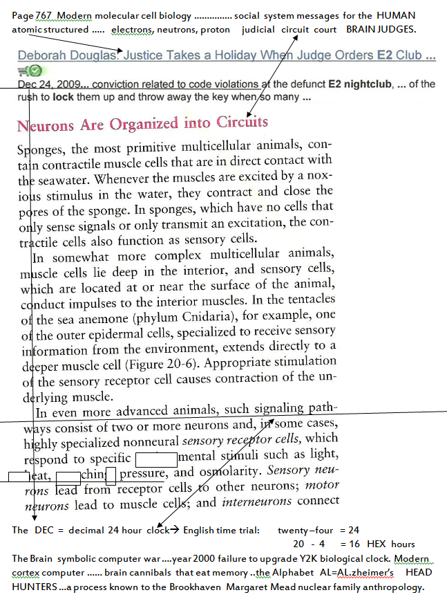 p-1119-11.PNG
