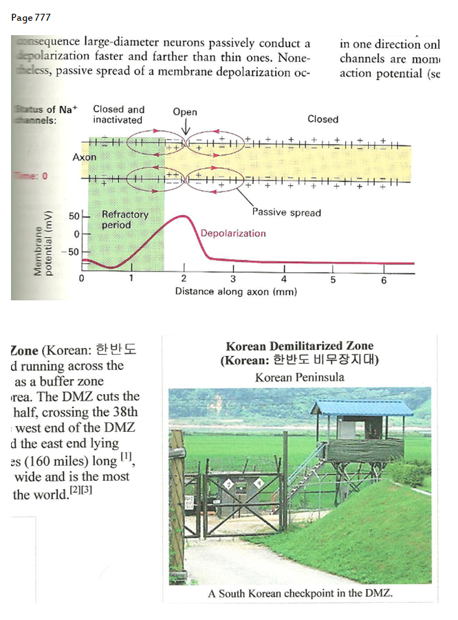 p-1120-14.PNG