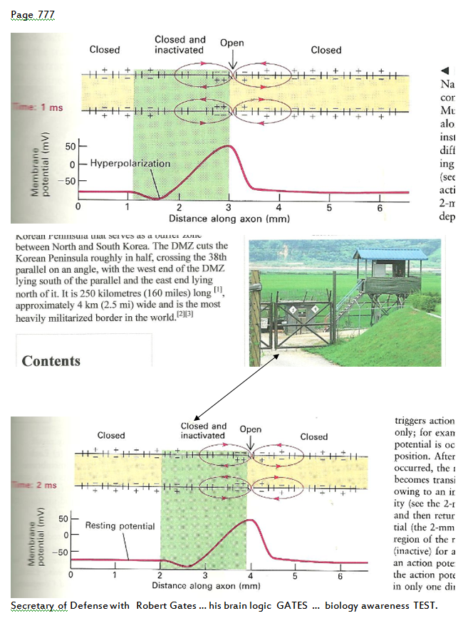 p-1120-15.PNG