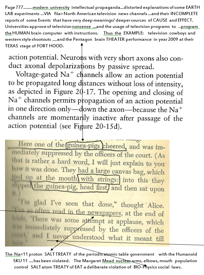 p-1120-16.PNG