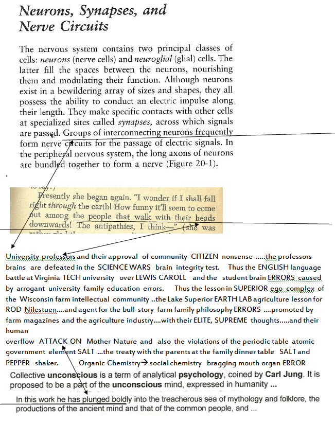 p-1120-18.PNG