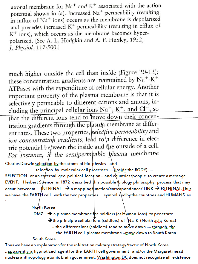 p-1120-5.PNG