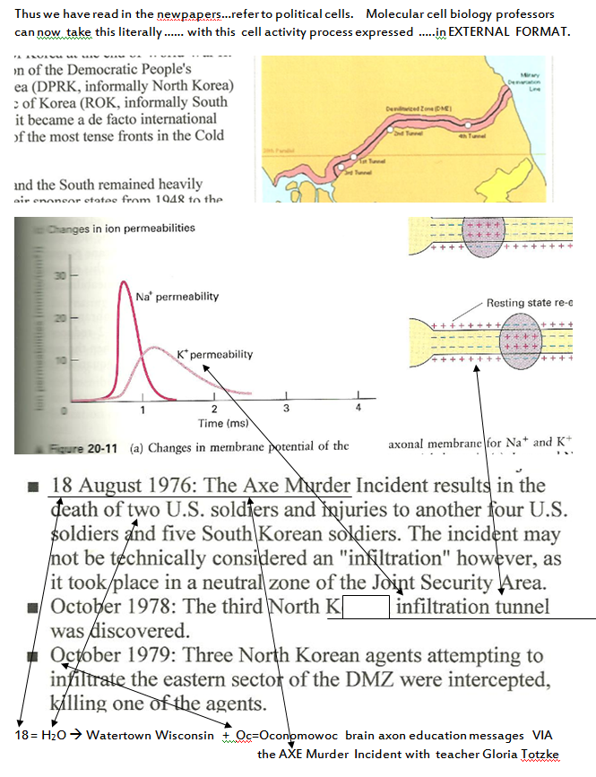 p-1120-6.PNG