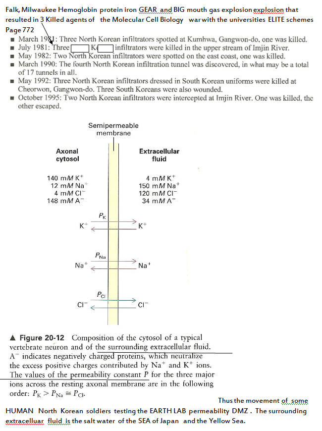 p-1120-7.PNG