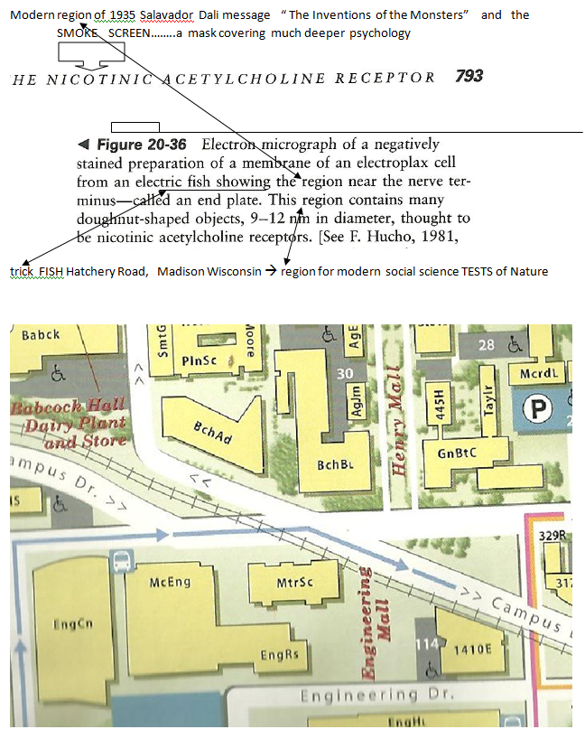 p-1134-14.PNG