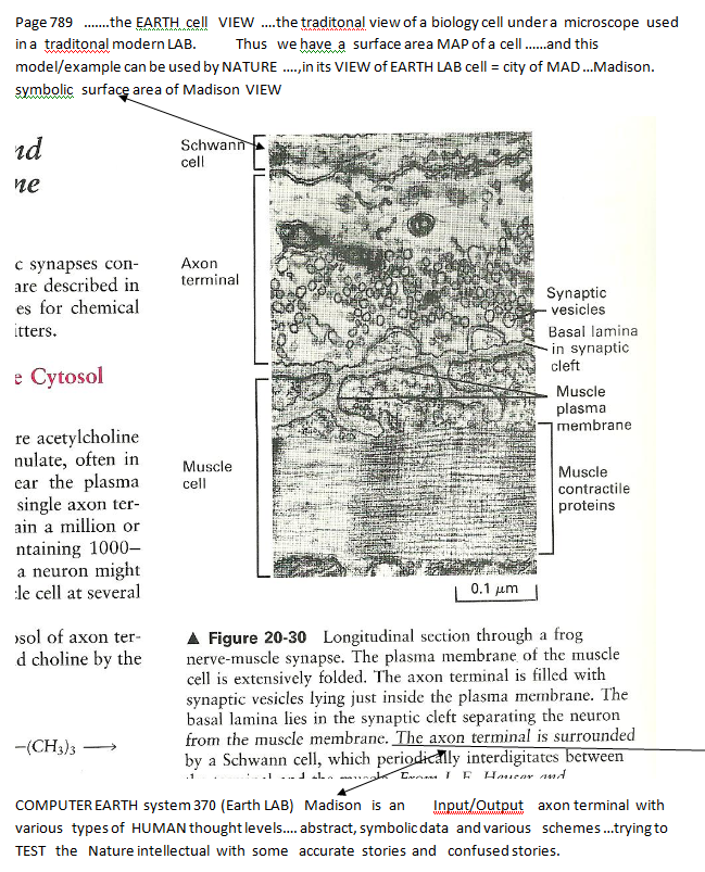 p-1134-7.PNG