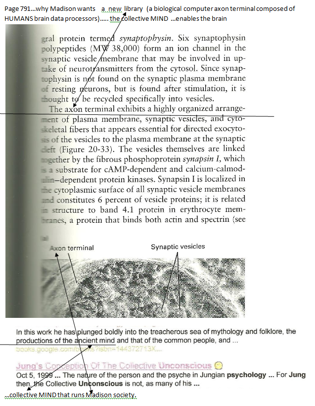p-1134-8.PNG