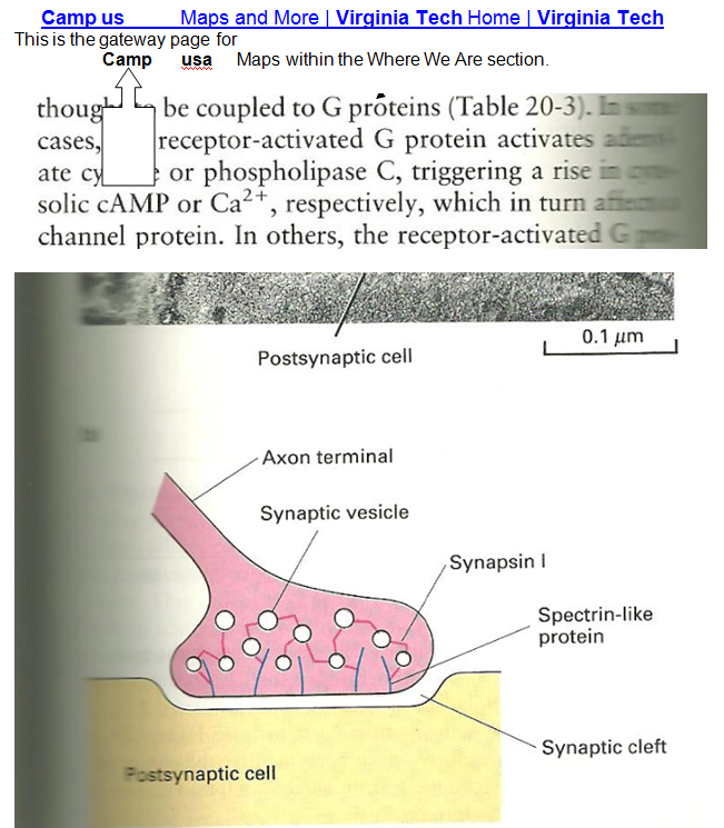 p-1288-15.PNG