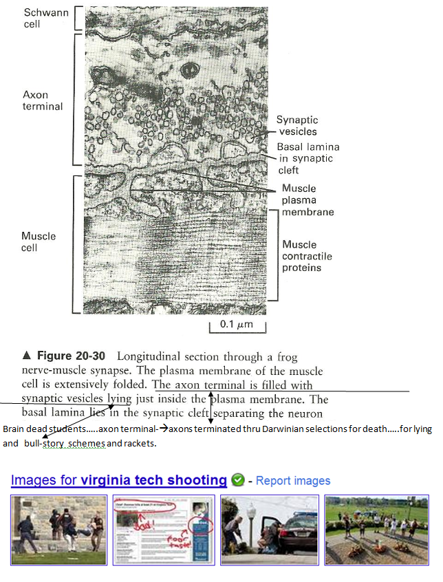 p-1288-7.PNG