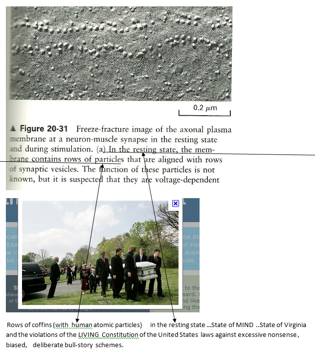 p-1288-8.PNG
